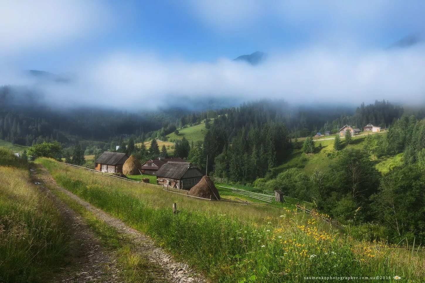 Природа украины фото Украина. Карпаты. Дземброня. Дорога к селу Road, Rural landscape, Village