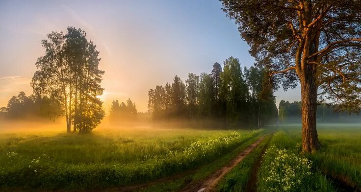 Природа утром фото скачать 35PHOTO - Лашков Фёдор - Скоро весенне-летние прогулки по дорожкам в парках Land