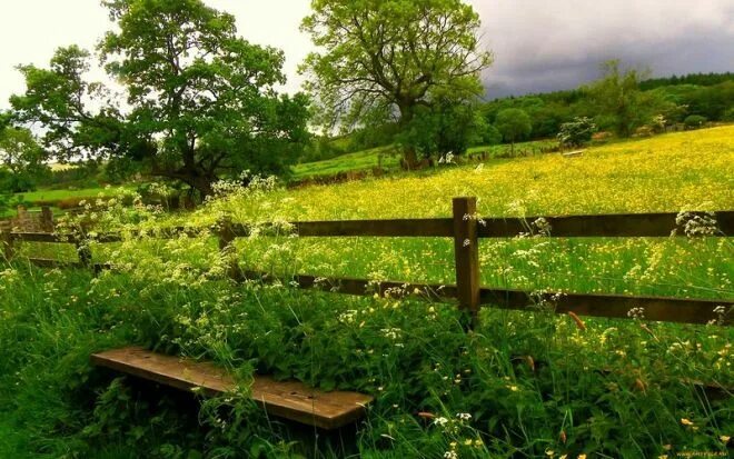 Природа в деревне фото ЛЕТО Landscape, Garden bridge, Sky and clouds