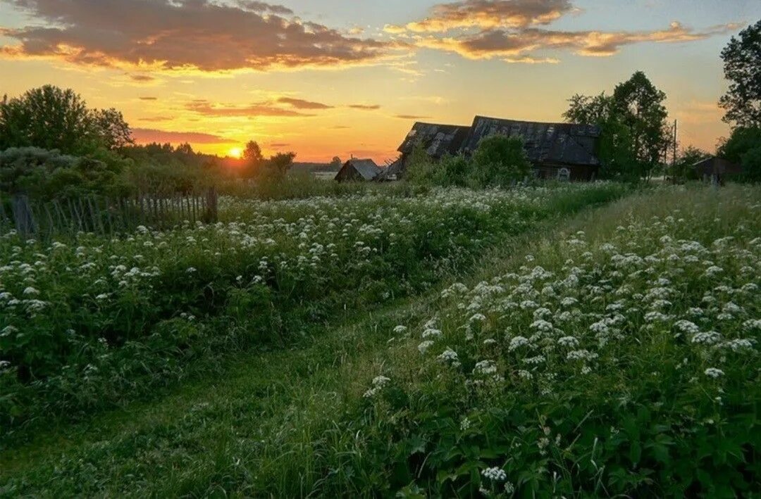 Природа в деревне фото Лето в деревне Пейзажи, Закаты, Лето