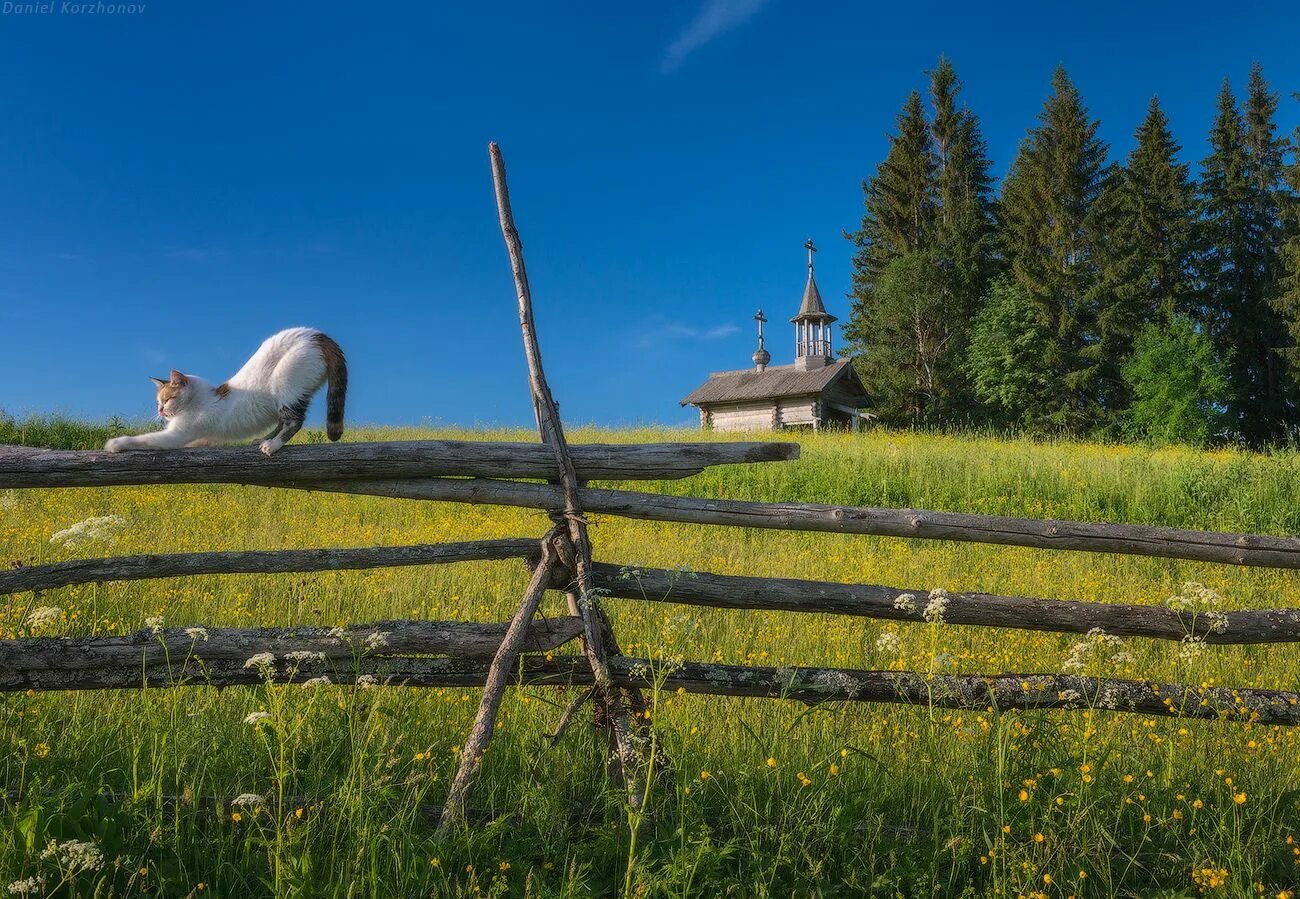 Природа в деревне фото Кенозеро Россия, Пейзажи, Путешествия