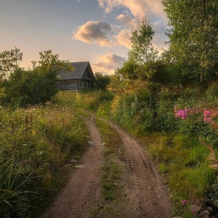 Природа в деревне фото Эстетика деревни Scenery, Nature aesthetic, Landscape