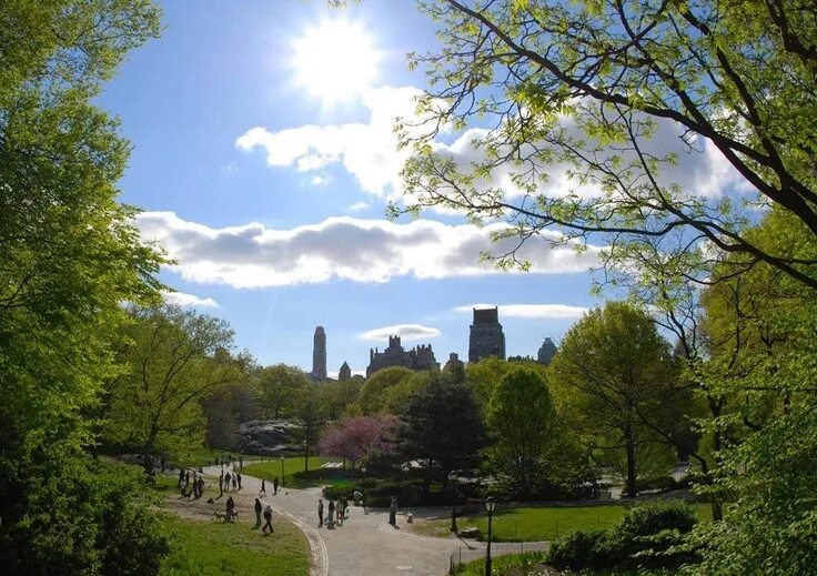 Природа в городе фото A beautiful day in New York City's Central Park. Central park, Paysage extraordi