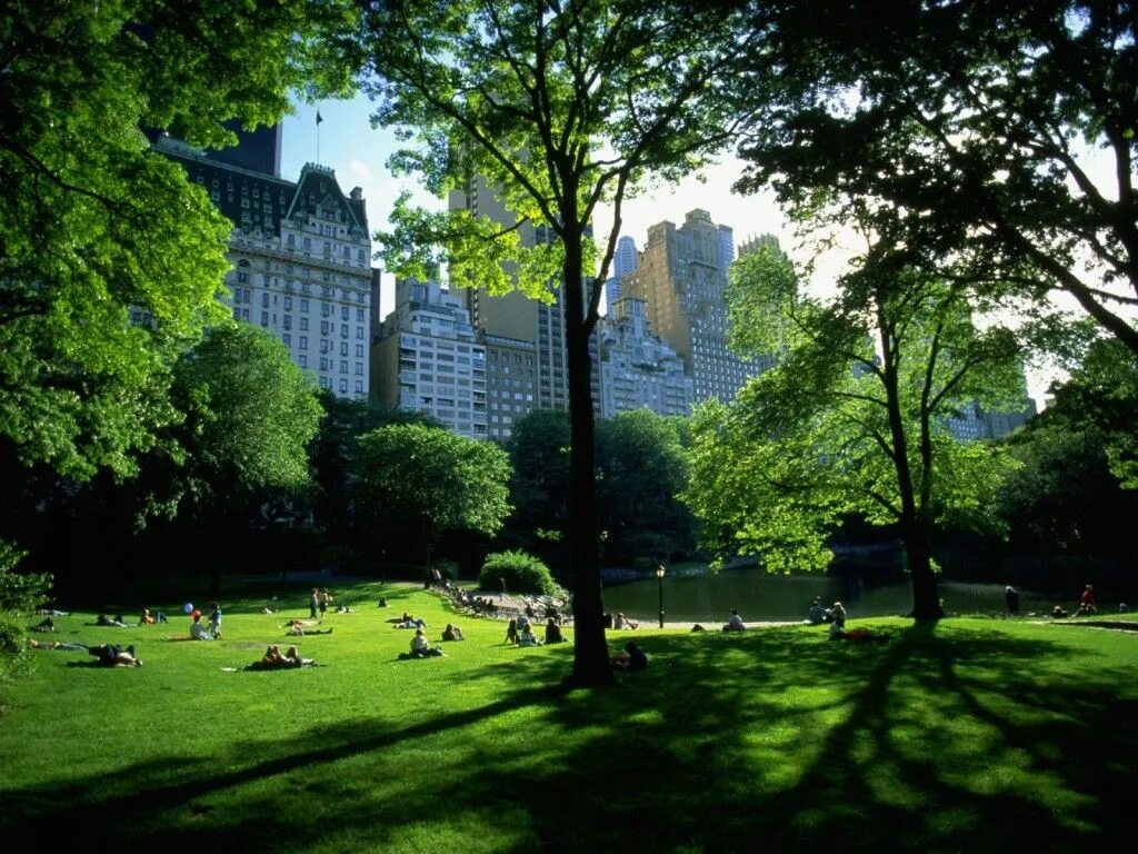 Природа в городе фото Aerial view of Central Park in NYC