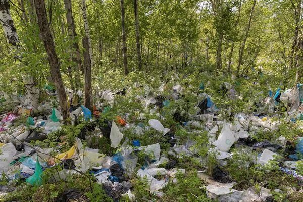 Природа в опасности фото Épinglé par Sam Adams sur Stop Plastic Destruction