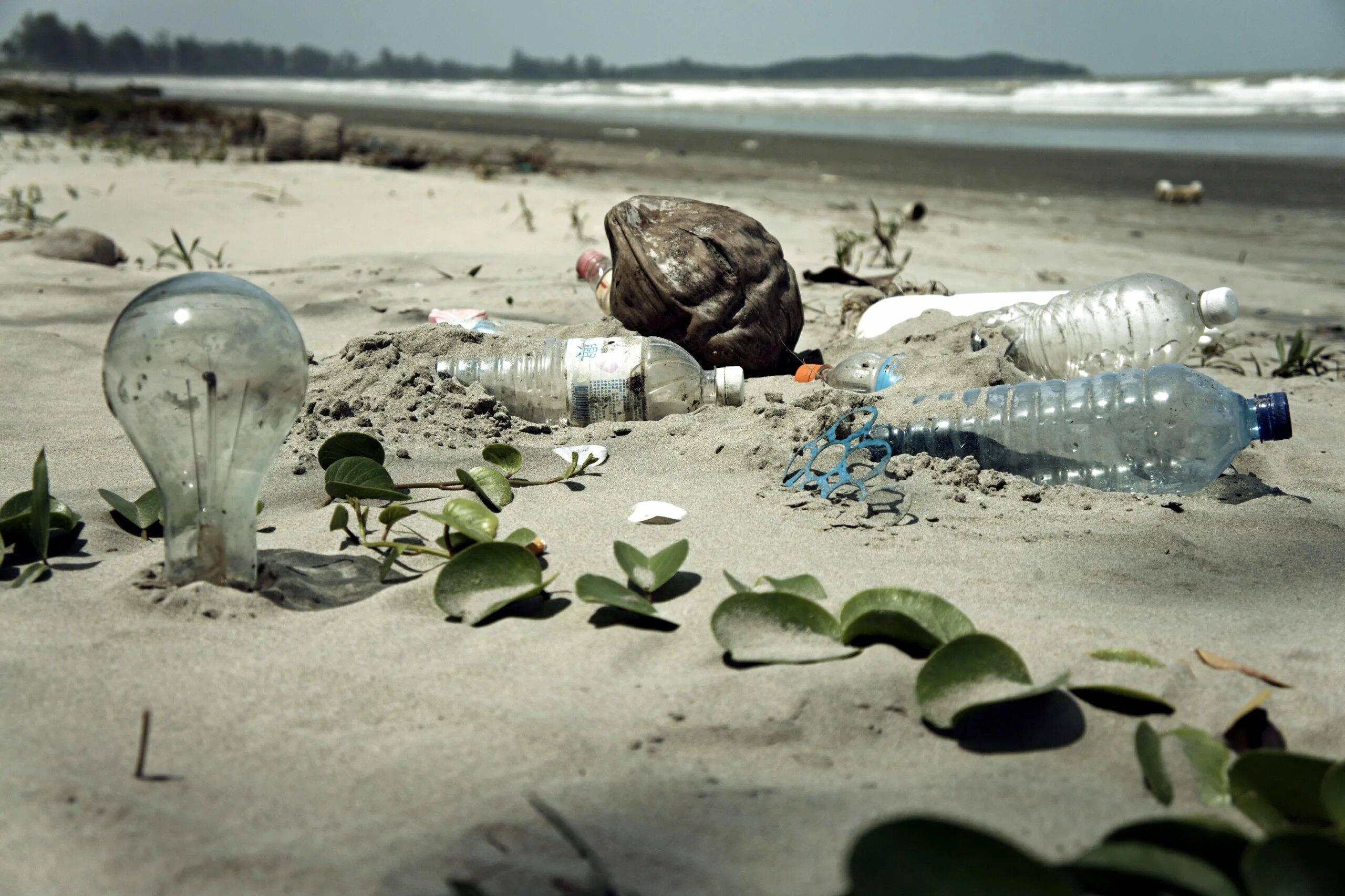 Природа в опасности фото Coca Cola, Pepsi and Nestle named world’s worst plastic polluters in 2020 - Big 