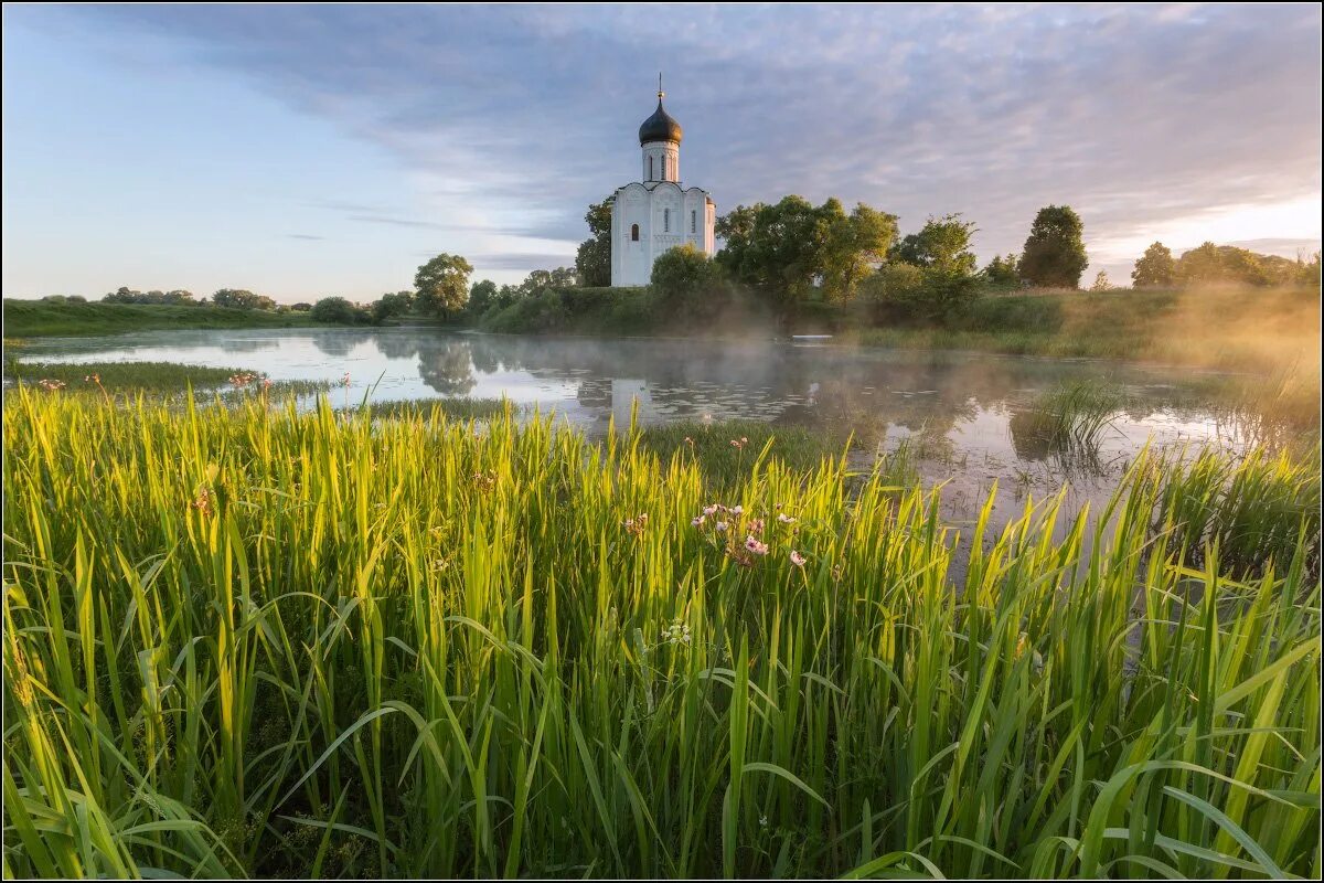 Природа владимира фото Храм Покрова на Нерли. Фотограф Александр Марецкий