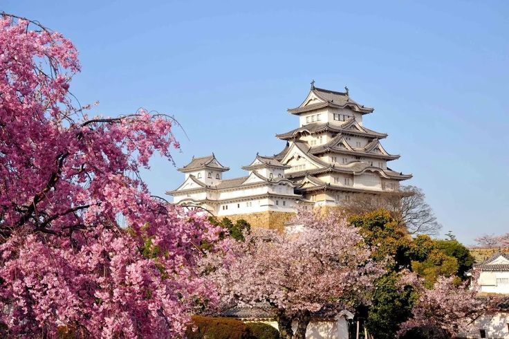 Природа японии фото сакура япония - Яндекс: нашлось 4 млн результатов Himeji castle, Japan, Beautifu