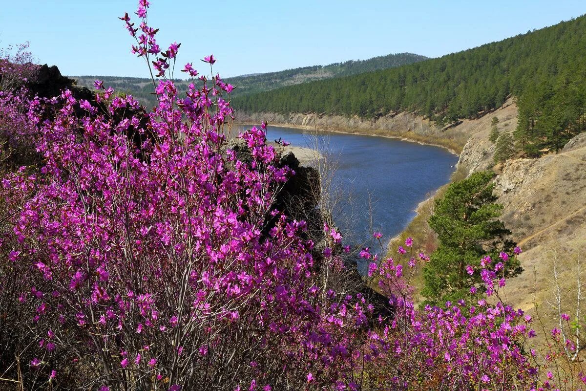 Природа забайкальского края фото Детская школа искусств пгт. Кокуй Новости