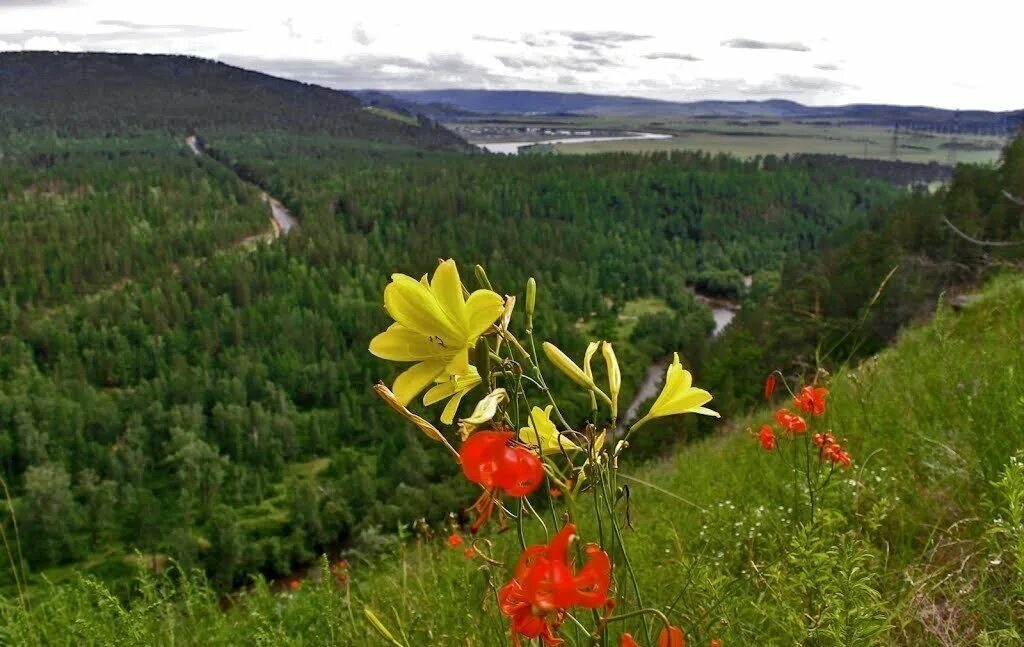 Природа забайкальского края фото Бурятия. Село Цакир. Истоки малой родины (продолжение 4) Любовь Жаркова Дзен