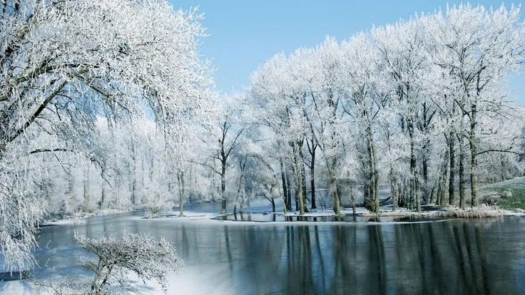 Природа зима фото самые красивые lakes-winter-lake-blue-white-sky-water-trees-nature-frozen-forest-reflection-sno