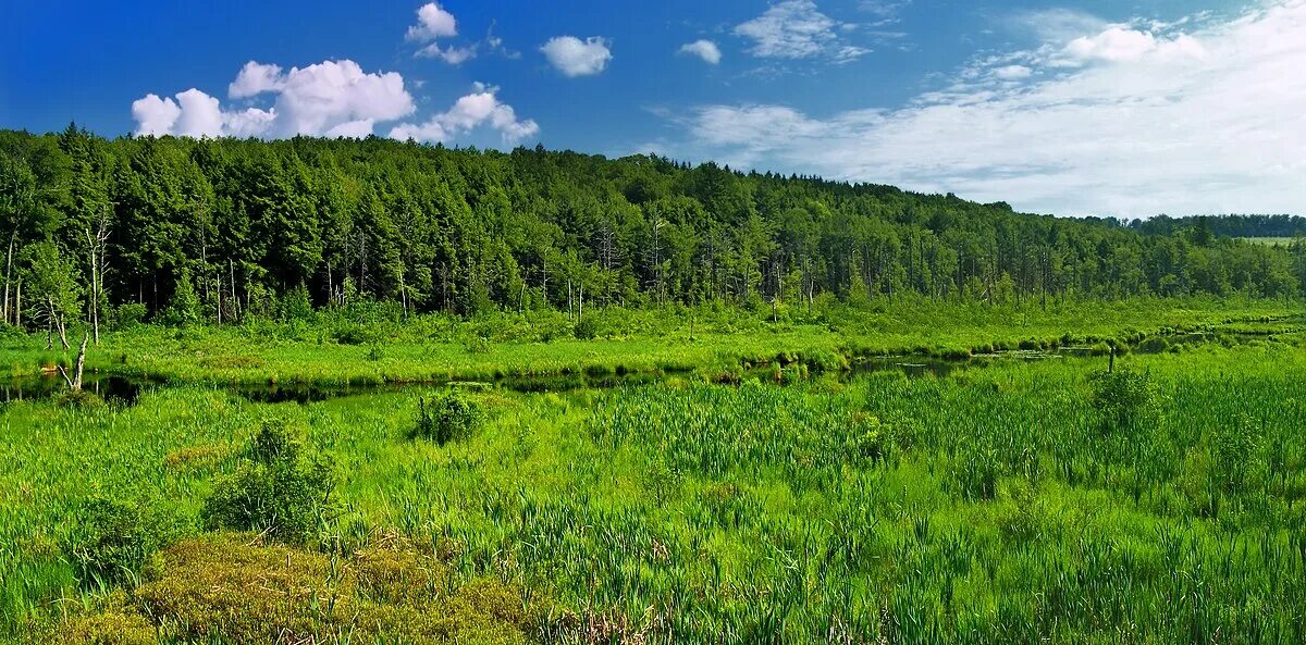 Природная среда фото Thompson Township, Susquehanna County, Pennsylvania - Wikipedia