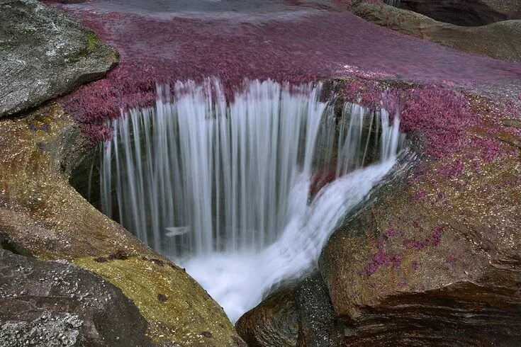 Природные чудеса фото The Most Beautiful River In The World Blooms With Many Colors Waterfall, Nature,