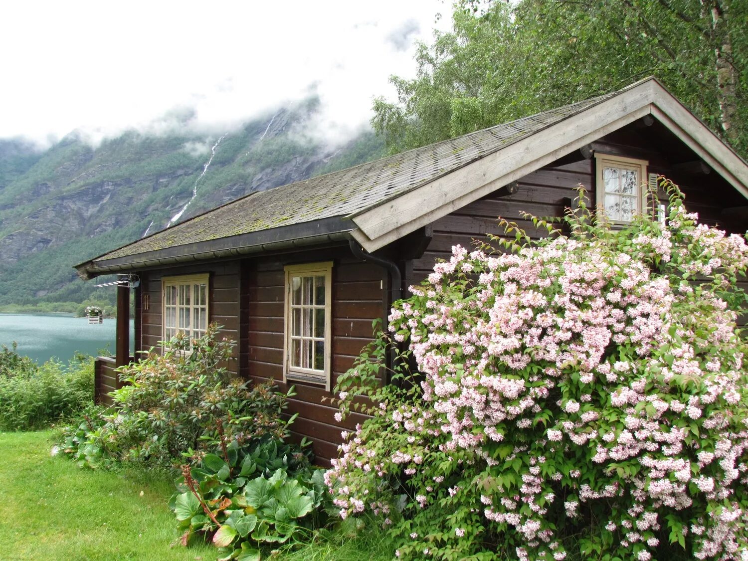 Woods at the Cabin Roof, Norway Photo by Europe Trotter Abandoned places, Abando