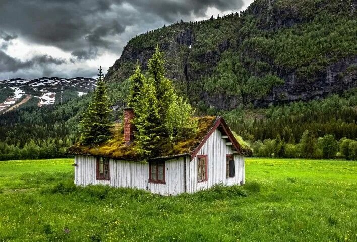 Природные дома фото Woods at the Cabin Roof, Norway Photo by Europe Trotter Abandoned places, Abando