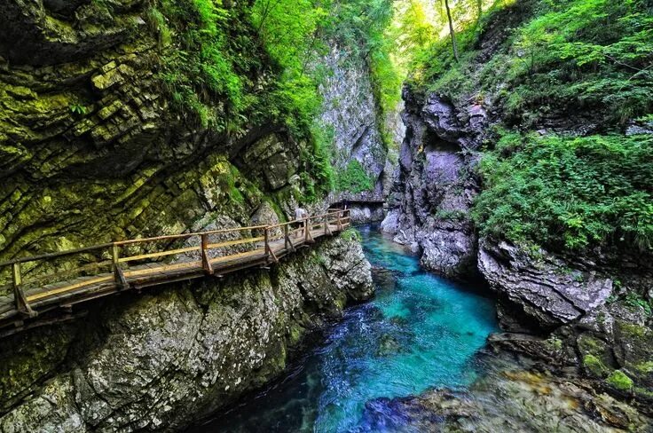 Природные достопримечательности фото Skocjan Caves lies in the south-west of Slovenia on the main Karst plateau and a