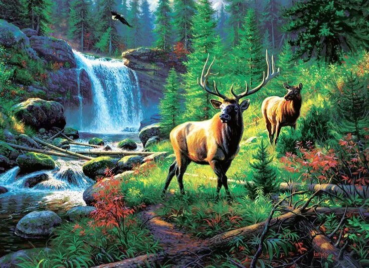 Природные картинки животные Mountain Harmony, 500 Pieces, SunsOut Puzzle Warehouse Larger piece jigsaw puzzl