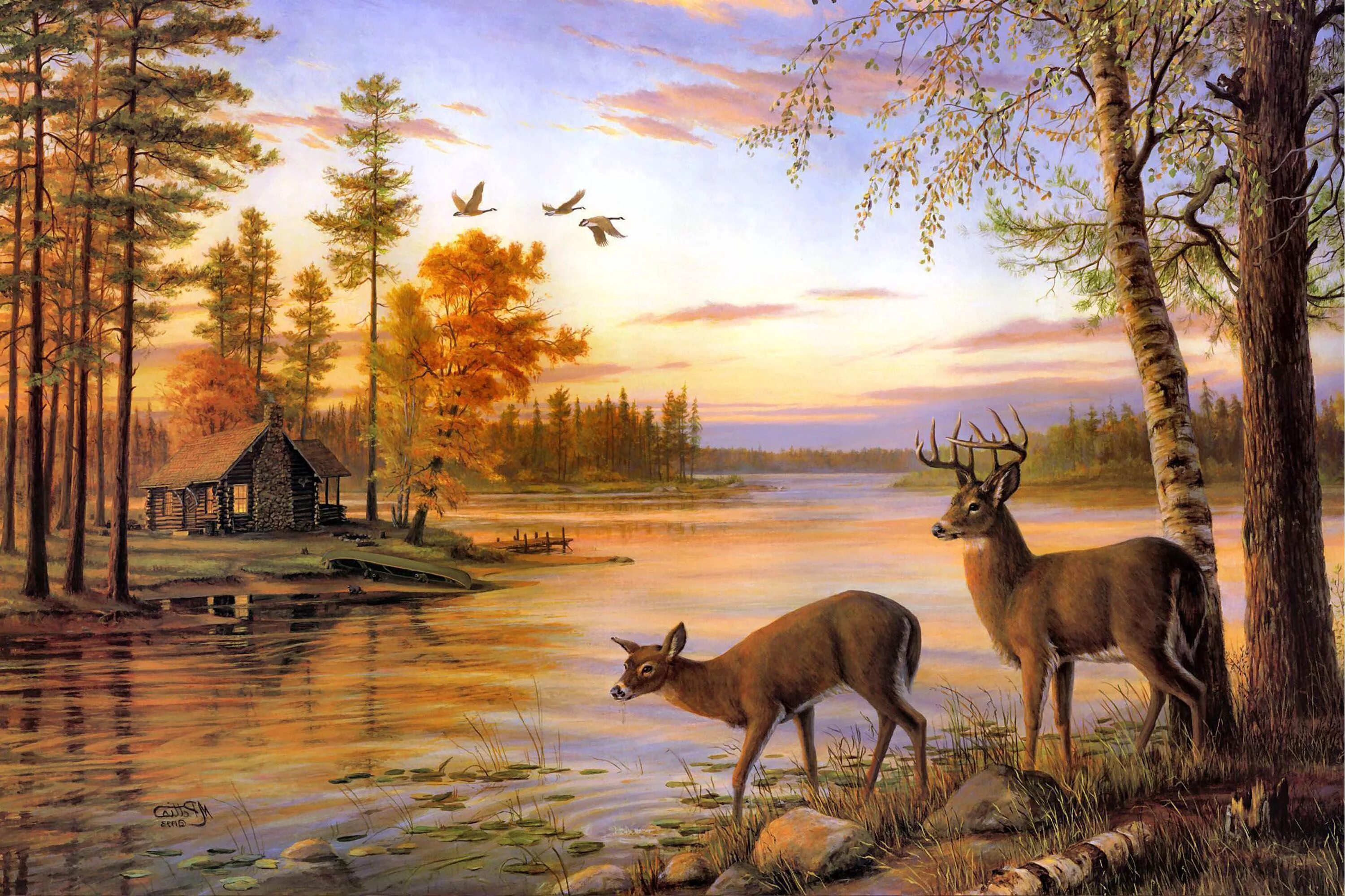 Природные картинки животные Two Deer Drink Water On The River When Sunset Deer painting, Landscape paintings