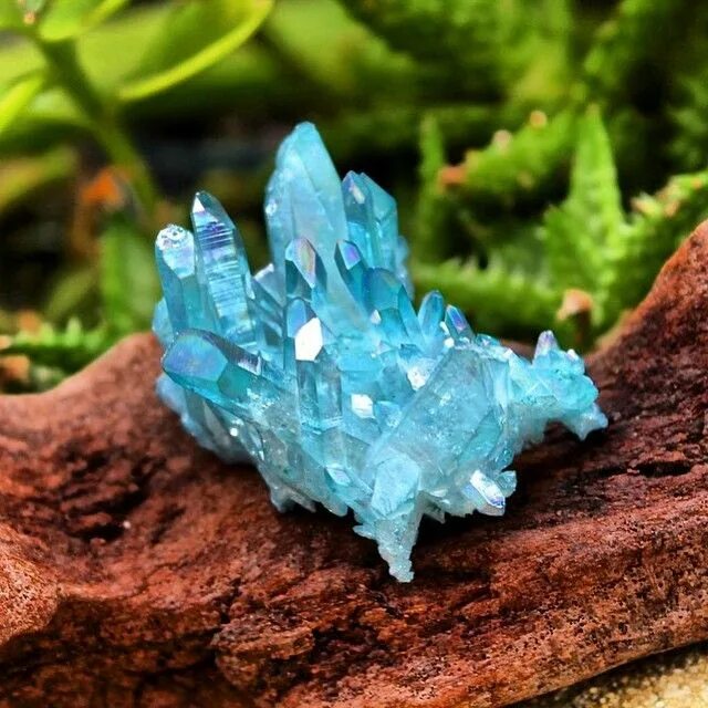 Природные кристаллы фото I believe this is an Aqua Aura crystal. Love the color! Crystals and gemstones, 