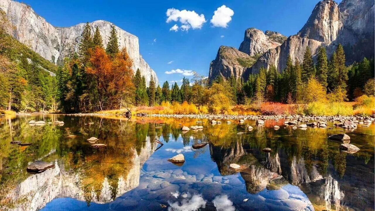 Природные парки фото Картина на холсте 40x50 LinxOne "Yosemite National Park лес" интерьер для дома /