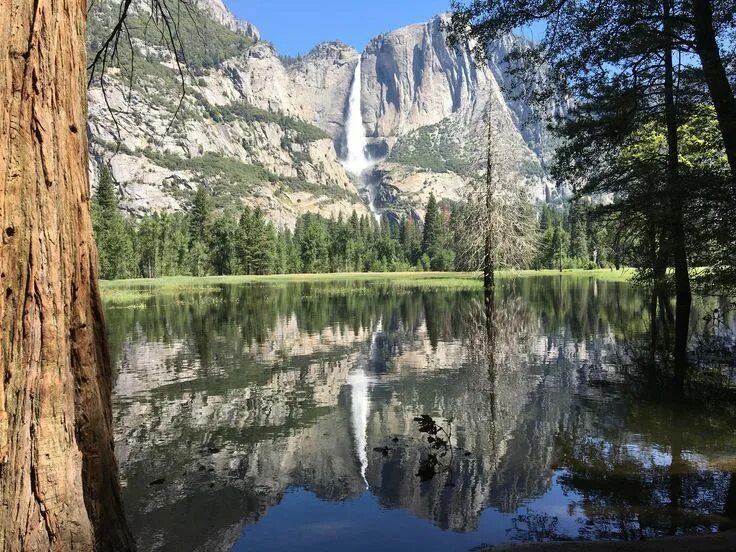 Природные парки фото The beautiful El Capitan Mountain in Yosemite National Park California USA (4032