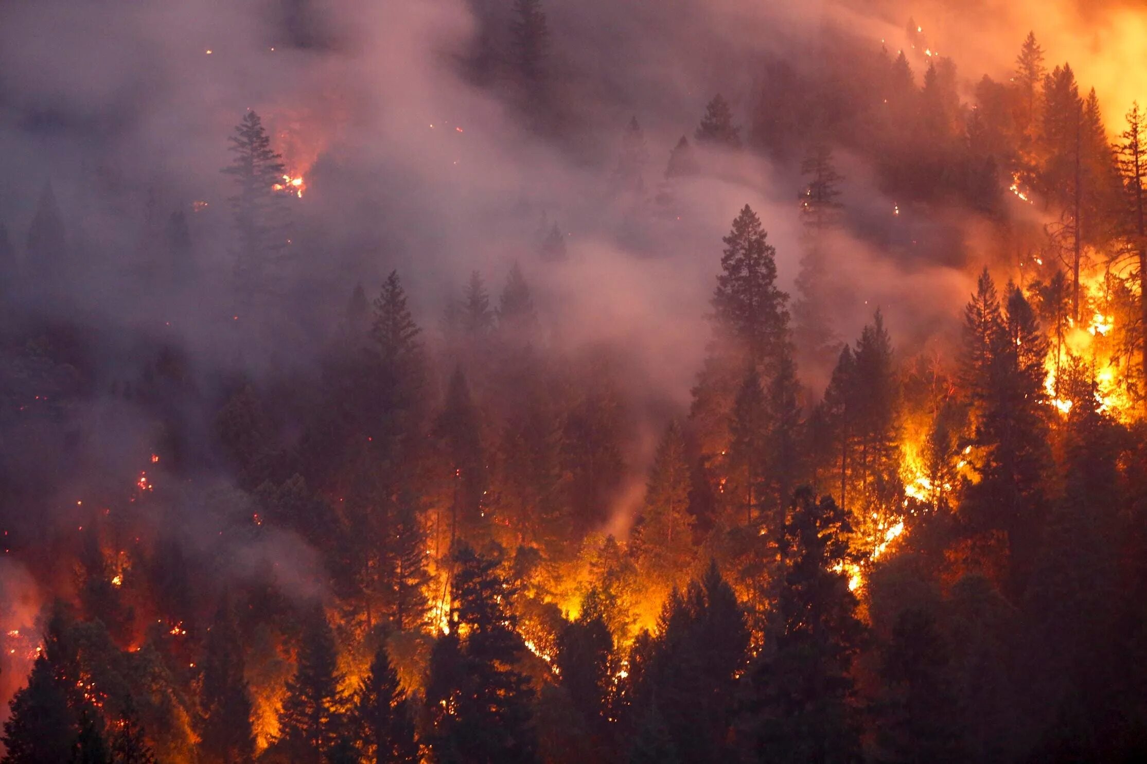 Природные пожары фото Oak Fire Threatens Yosemite: Here Are The National Parks At Risk Of Burning As C