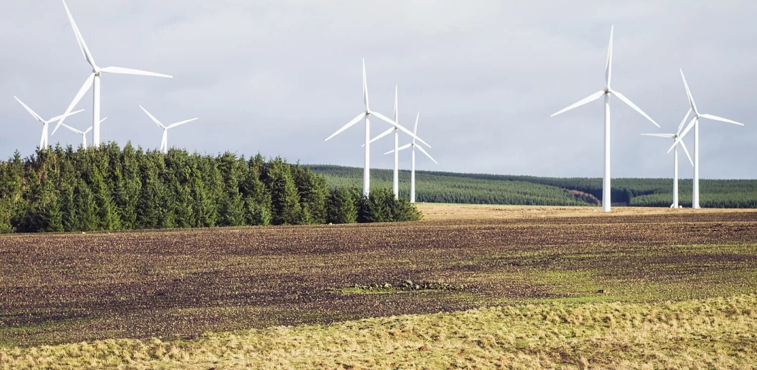 Природные ресурсы великобритании фото Educational resources Scotland's environment web