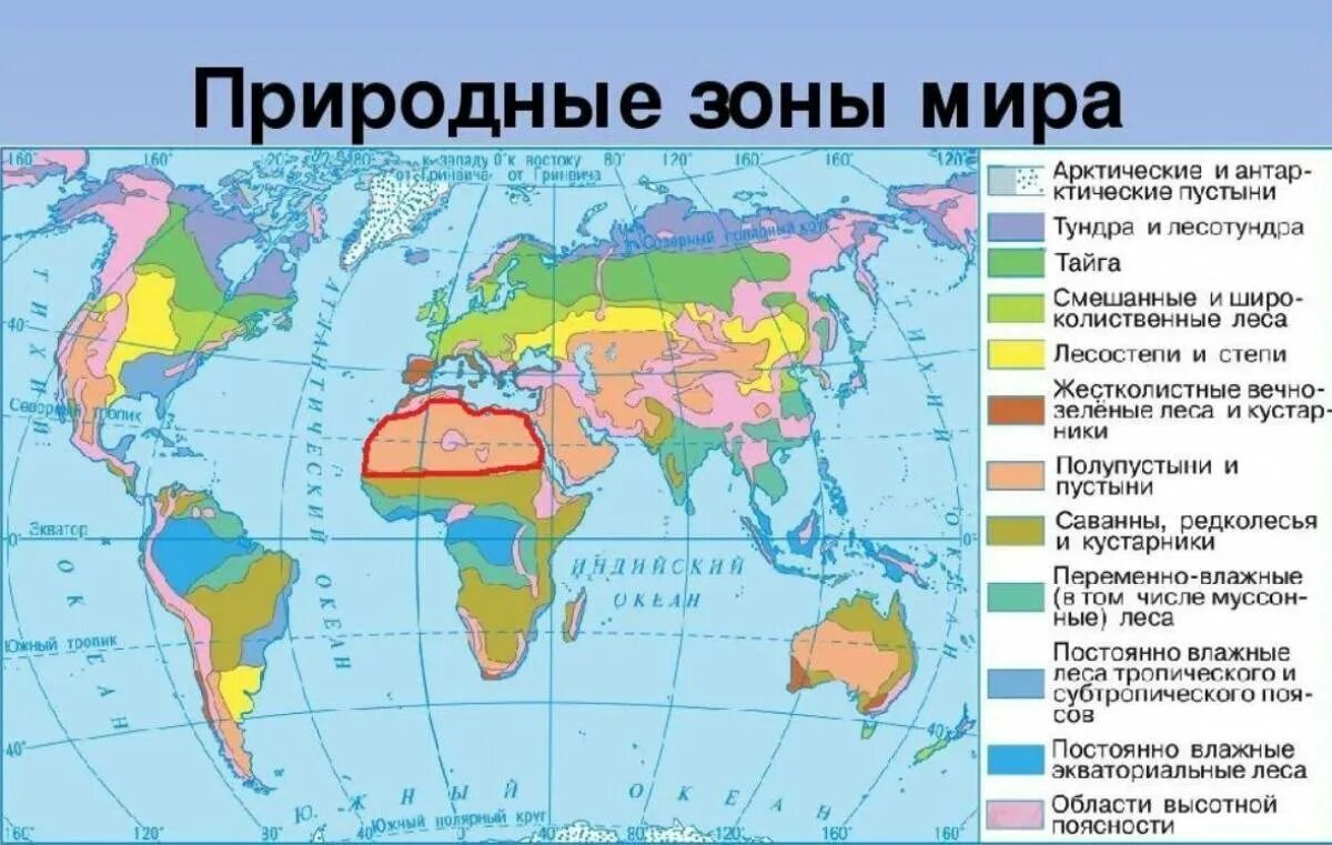 Природные зоны фото Карта почв и природных зон