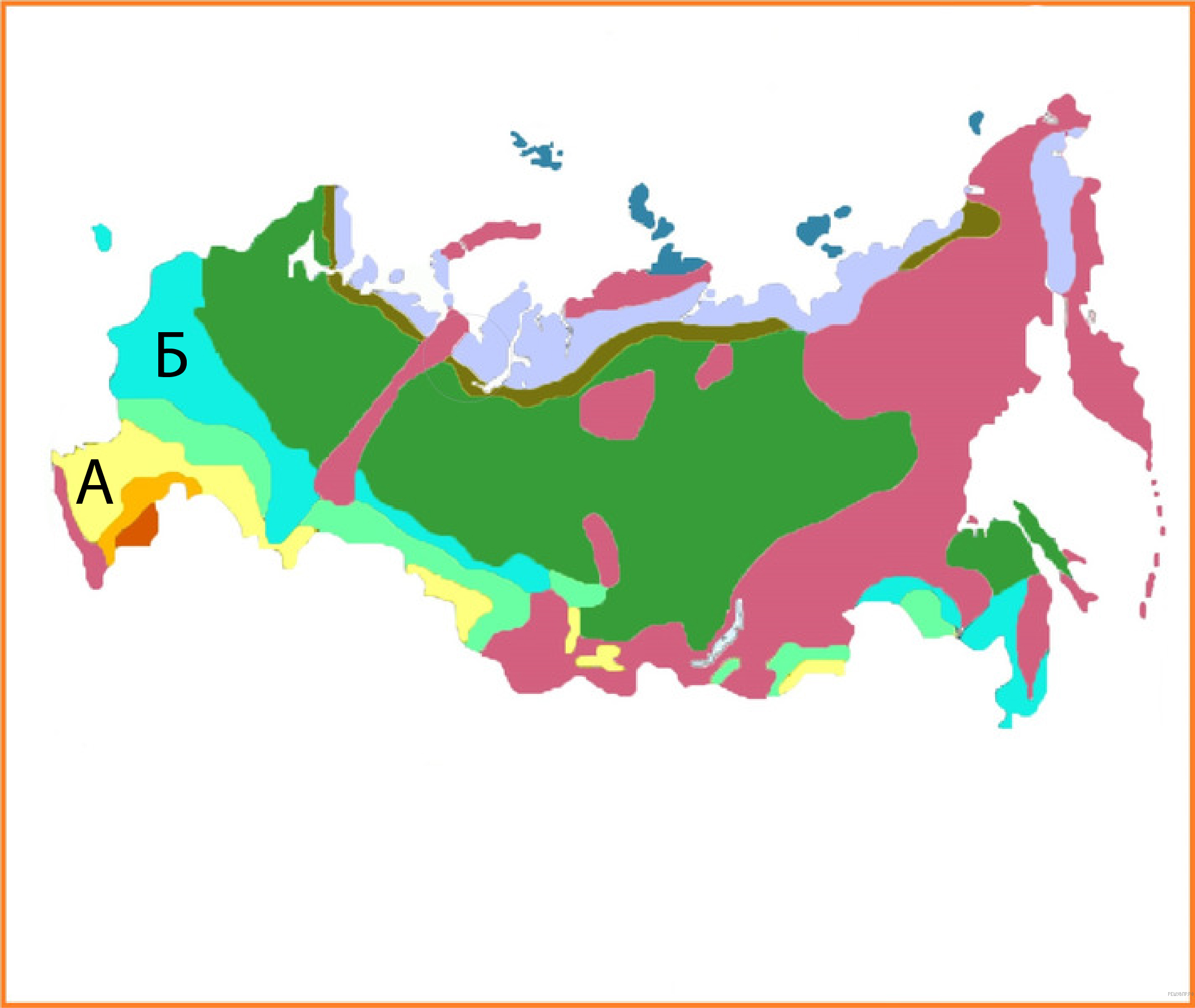 Природные зоны фото ВПР–2024, окружающий мир–4: задания, ответы, решения