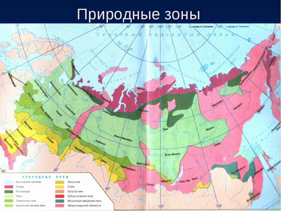 Природные зоны фото Презентация к уроку окружающего мира на тему: "Природные зоны России"