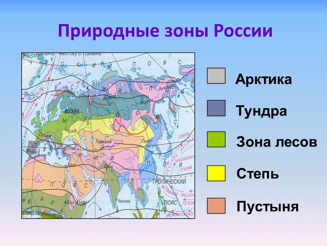 Природные зоны фото Какой природной зоны нет в россии