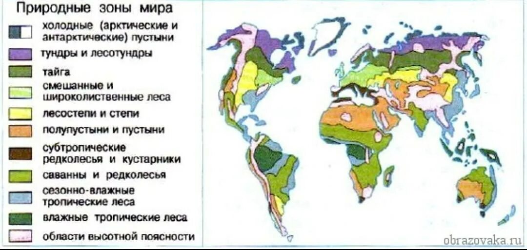 Природные зоны мира фото Картинки КАКАЯ ПРИРОДНАЯ ЗОНА НАИБОЛЕЕ СИЛЬНО ИЗМЕНЕНА ЧЕЛОВЕКОМ