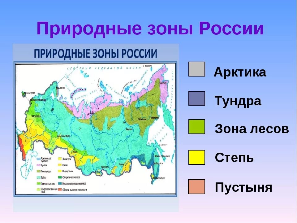 Природные зоны мира фото Какие природные зоны находятся