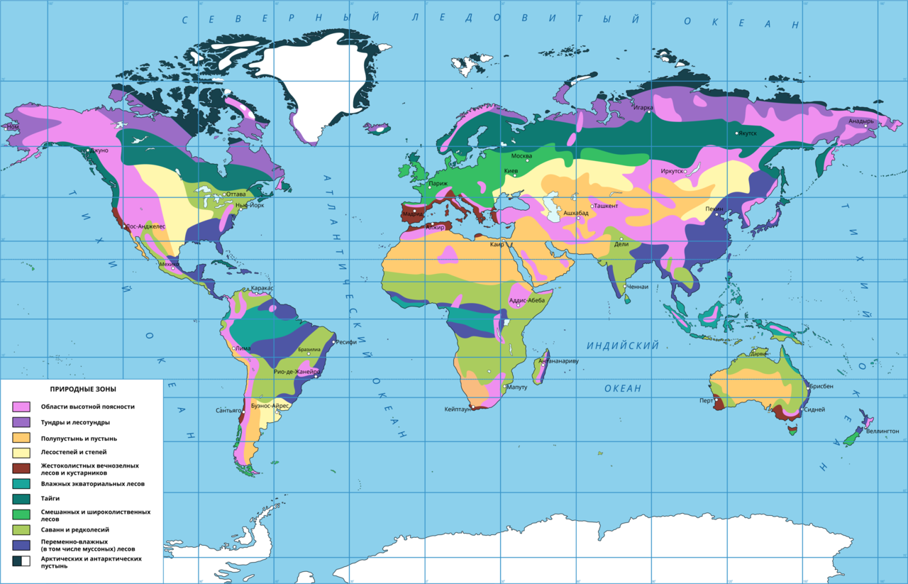 Природные зоны мира фото Картинки КАКИЕ ПРИРОДНЫЕ ЗОНЫ СУЩЕСТВУЮТ НА ЗЕМЛЕ
