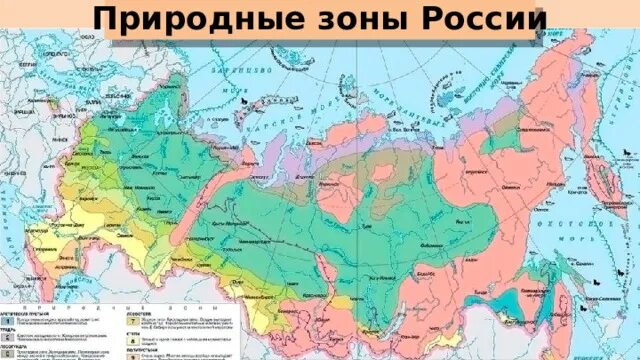 Природные зоны россии фото Презентация по географии "Природные зоны России"(8 класс)