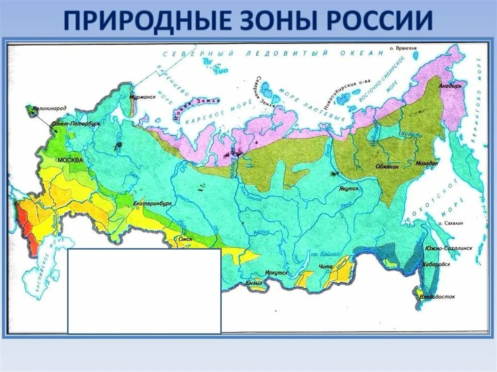 Природные зоны россии фото На карте стрелками обозначены природные зоны: найдено 87 картинок