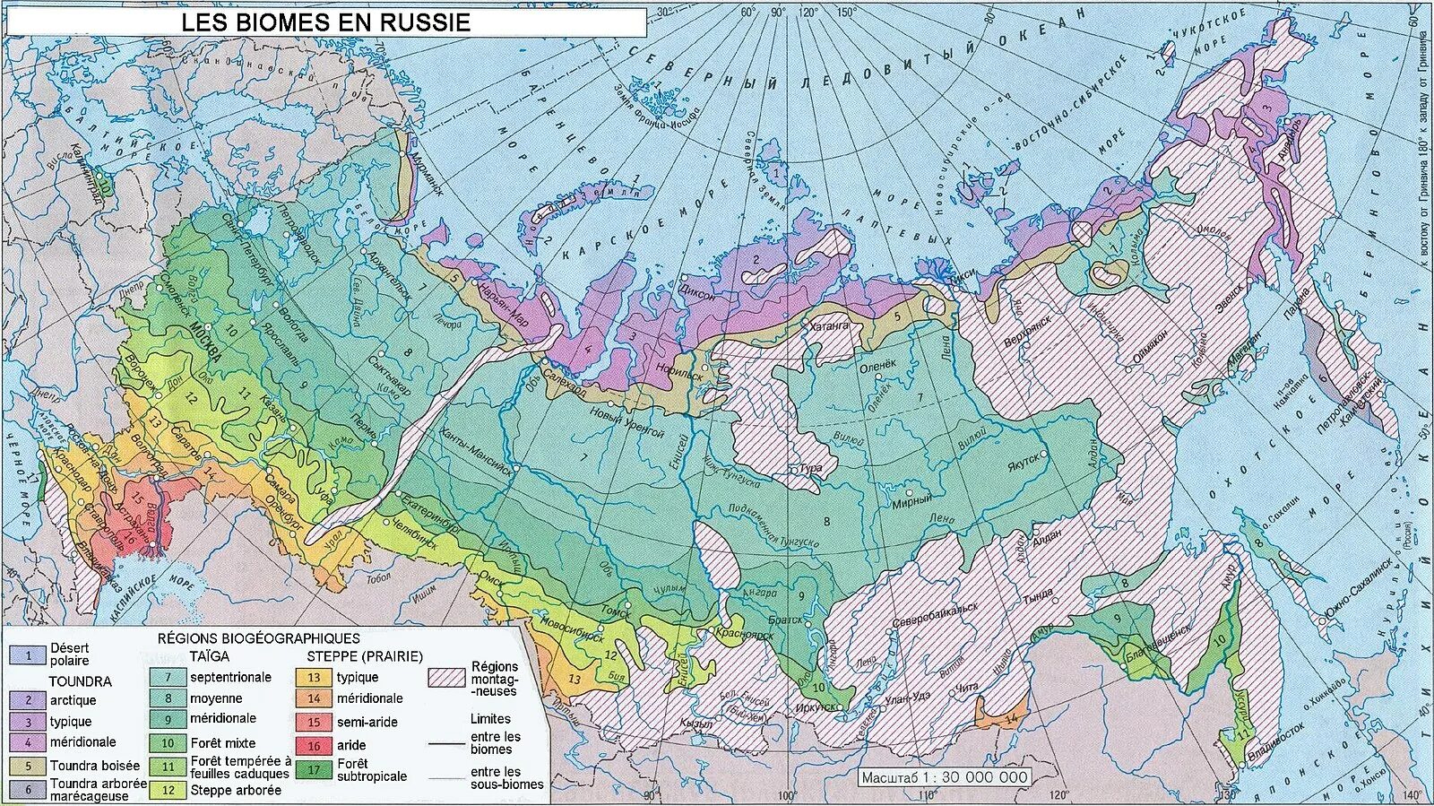 Картинки КАКАЯ ПРИРОДНАЯ ЗОНА НАИБОЛЕЕ СИЛЬНО ИЗМЕНЕНА ЧЕЛОВЕКОМ