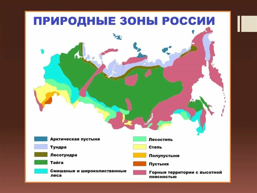 Природные зоны россии фото Картинки КАКАЯ ПРИРОДНАЯ ЗОНА НАИБОЛЕЕ СИЛЬНО ИЗМЕНЕНА ЧЕЛОВЕКОМ