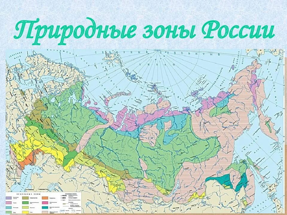 Природные зоны россии фото Природные зоны нашей страны: найдено 87 картинок