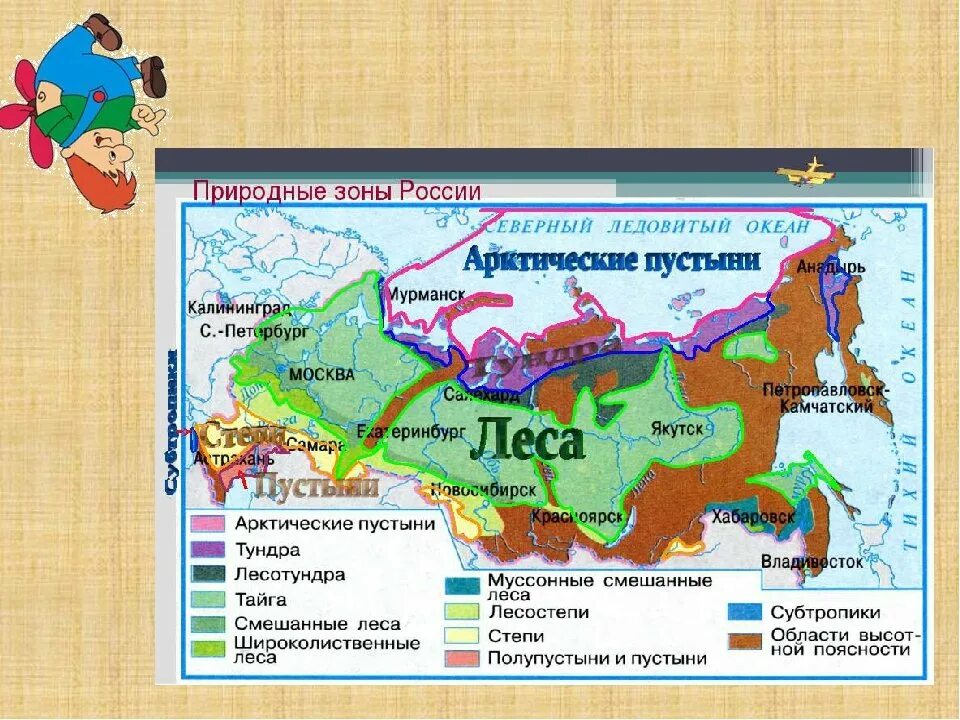 Природные зоны россии фото с названиями Картинки САМАЯ РАСПРОСТРАНЕННАЯ ПРИРОДНАЯ ЗОНА В МИРЕ