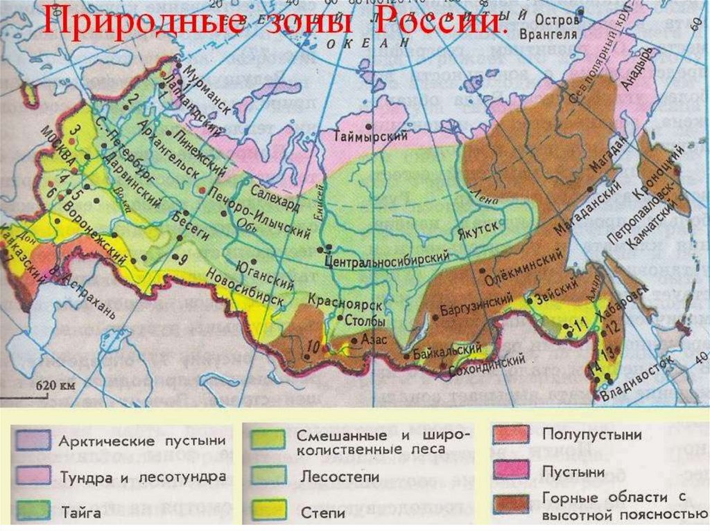 Природные зоны россии фото с названиями Скачай природную зону