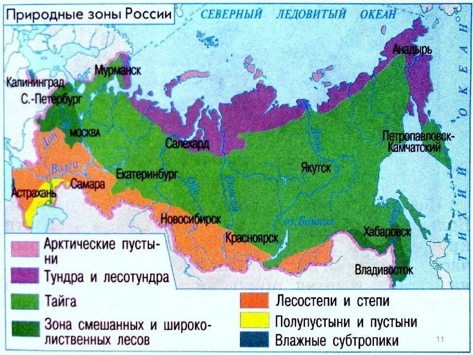 Природные зоны россии фото с названиями В какой природной зоне находится мурманск - Вопросы и ответы