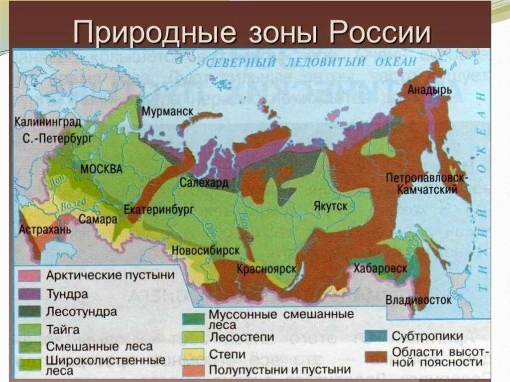 Природные зоны россии фото с названиями Картинки КАКАЯ ПРИРОДНАЯ ЗОНА НАИБОЛЕЕ СИЛЬНО ИЗМЕНЕНА ЧЕЛОВЕКОМ