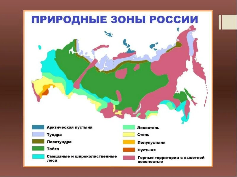 Природные зоны россии фото с названиями ПРИРОДНЫЕ ЗОНЫ РОССИИ