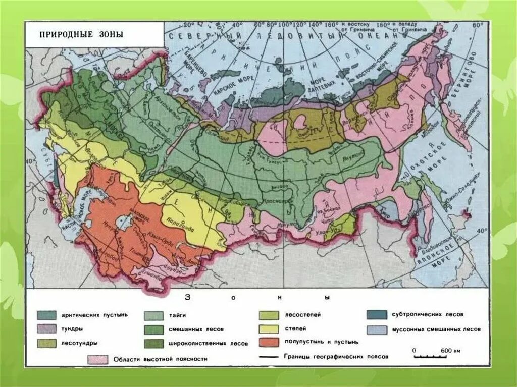 Природные зоны россии фото с названиями Природные зоны природы