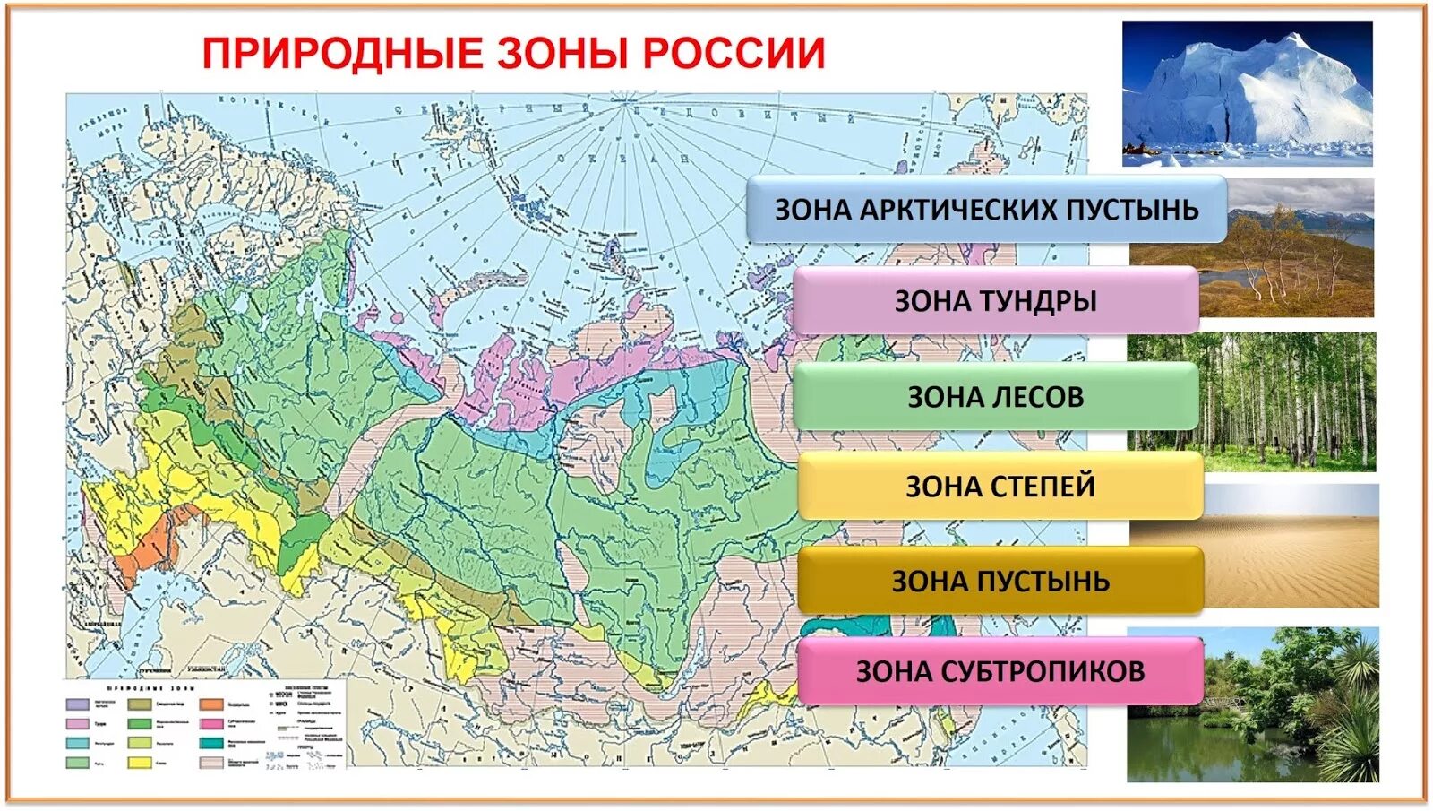 Природные зоны россии фото с названиями Сопоставьте почвенную карту и карту природных зон - найдено 87 картинок