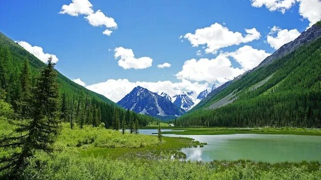 Природный комплекс фото Premium Photo Photo of mountains in Altai. Rivers, valleys, trees, clouds