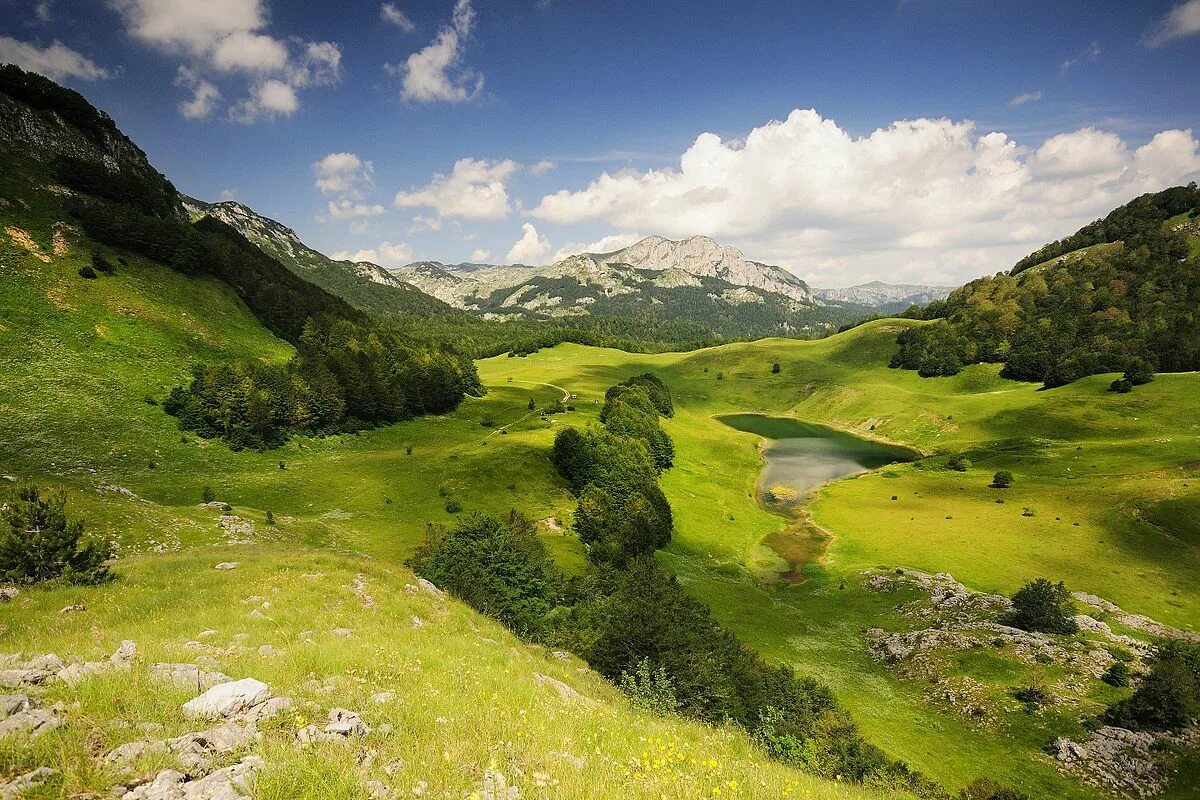 Природный ландшафт фото File:Nacionalni park Sutjeska, Zelengora, Orlovačko jezero.jpg - Wikipedia