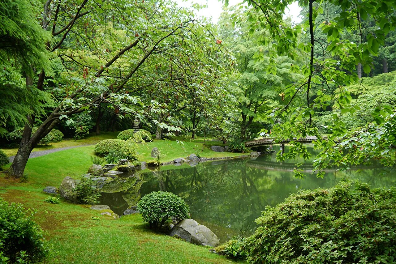 Природный ландшафт фото Фото Ванкувер Канада Nitobe Garden Природа парк Пруд траве кустов