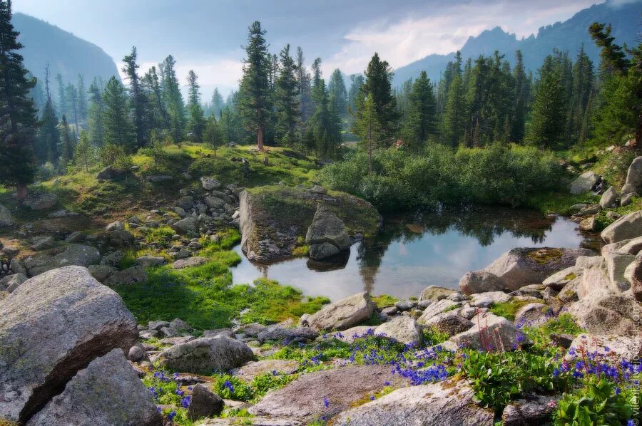 Природный парк ергаки красноярский край фото Сказочные Ергаки. Часть 7. - путешествия и прочее - LiveJournal